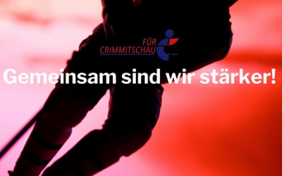 Eispiraten unterstützen Stadt-Projekt