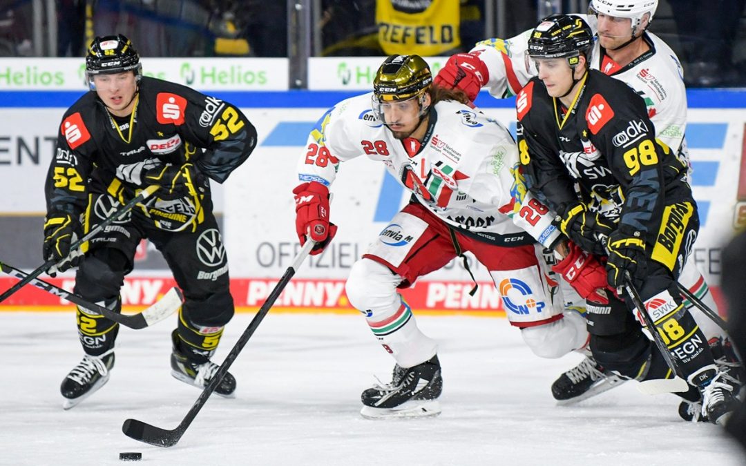 3:5! Eispiraten unterliegen den Krefeld Pinguinen