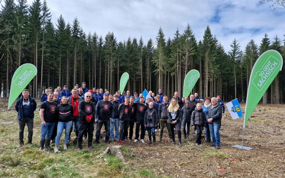 Eispiraten beteiligen sich an Baumpflanzaktion der Stiftung Wald