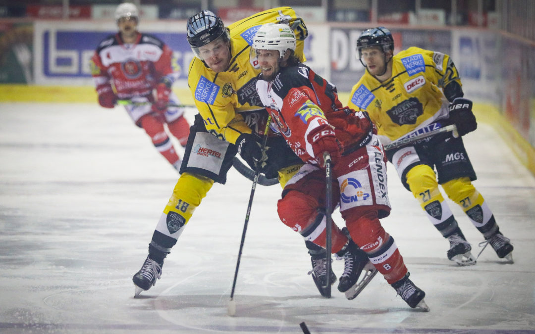 Ausblick zur Playdown-Serie gegen die Bayreuth Tigers