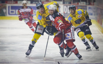 Ausblick zur Playdown-Serie gegen die Bayreuth Tigers