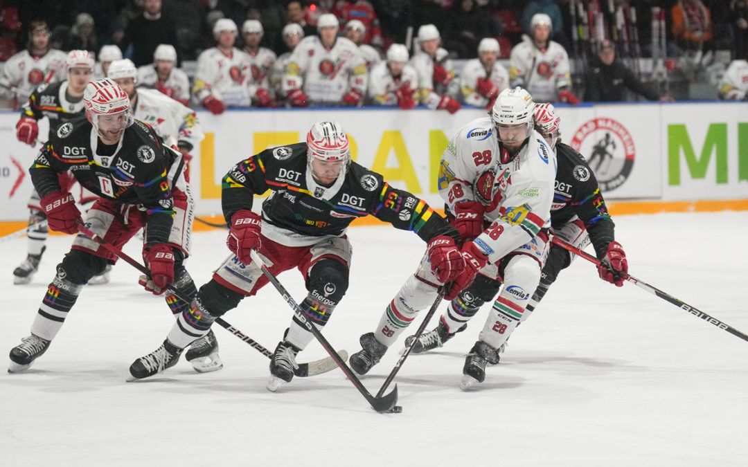 2:3! Eispiraten mit Overtime-Niederlage in Bad Nauheim
