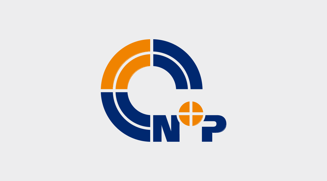 N+P Informationssysteme GmbH: Duales Studium Technische Informatik (m/w/d)