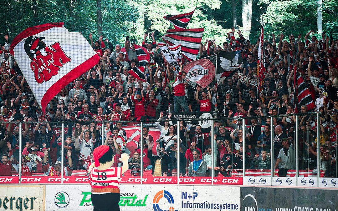 Die Eispiraten-Fan-Umfrage