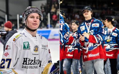Johannes Schmid und Nikolas Biggins verstärken Eispiraten