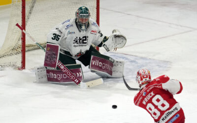 0:3! Eispiraten unterliegen Starbulls Rosenheim