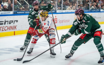 Einen Tag vor Heiligabend: Eispiraten reisen nach Rosenheim