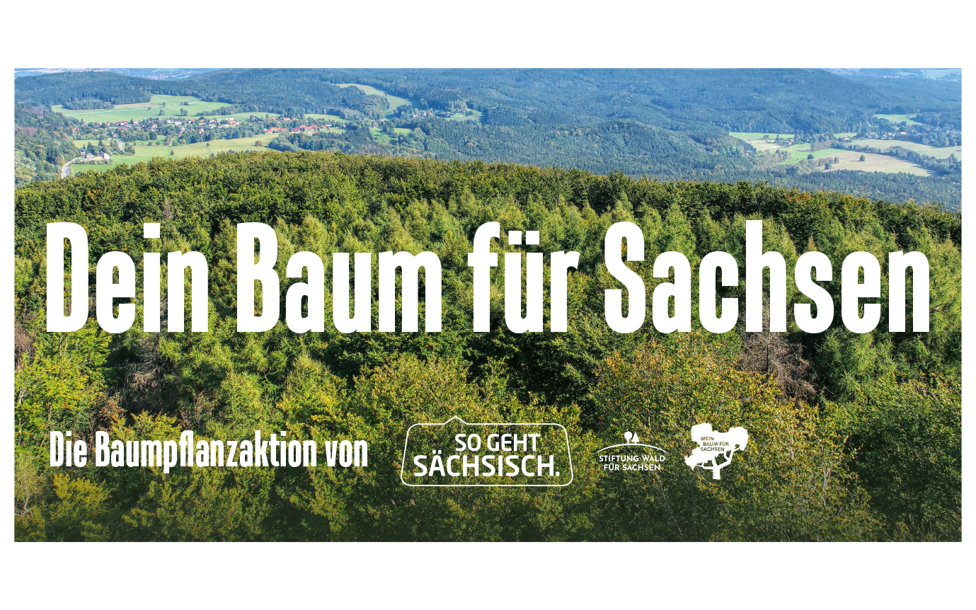 dein baum für sachsen