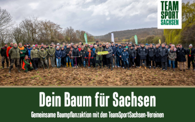 TeamSportSachsen-Pflanzaktion: 4000 Setzlinge in die Erde gebracht