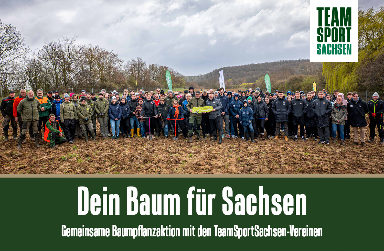 baumpflanz-aktion-team-sport-sachsen
