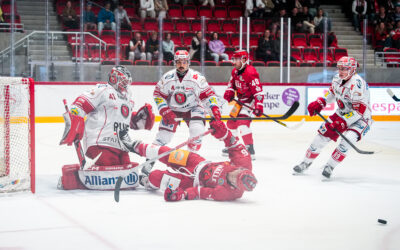 4:0! Eispiraten mit Testspielerfolg über Saale Bulls Halle