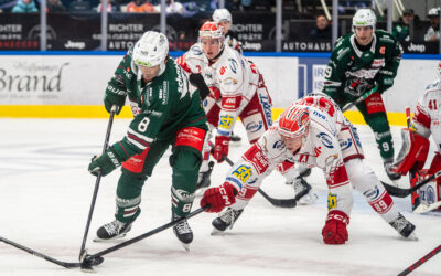 1:4! Eispiraten unterliegen Rosenheim